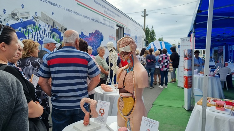 A Gondosóra standja