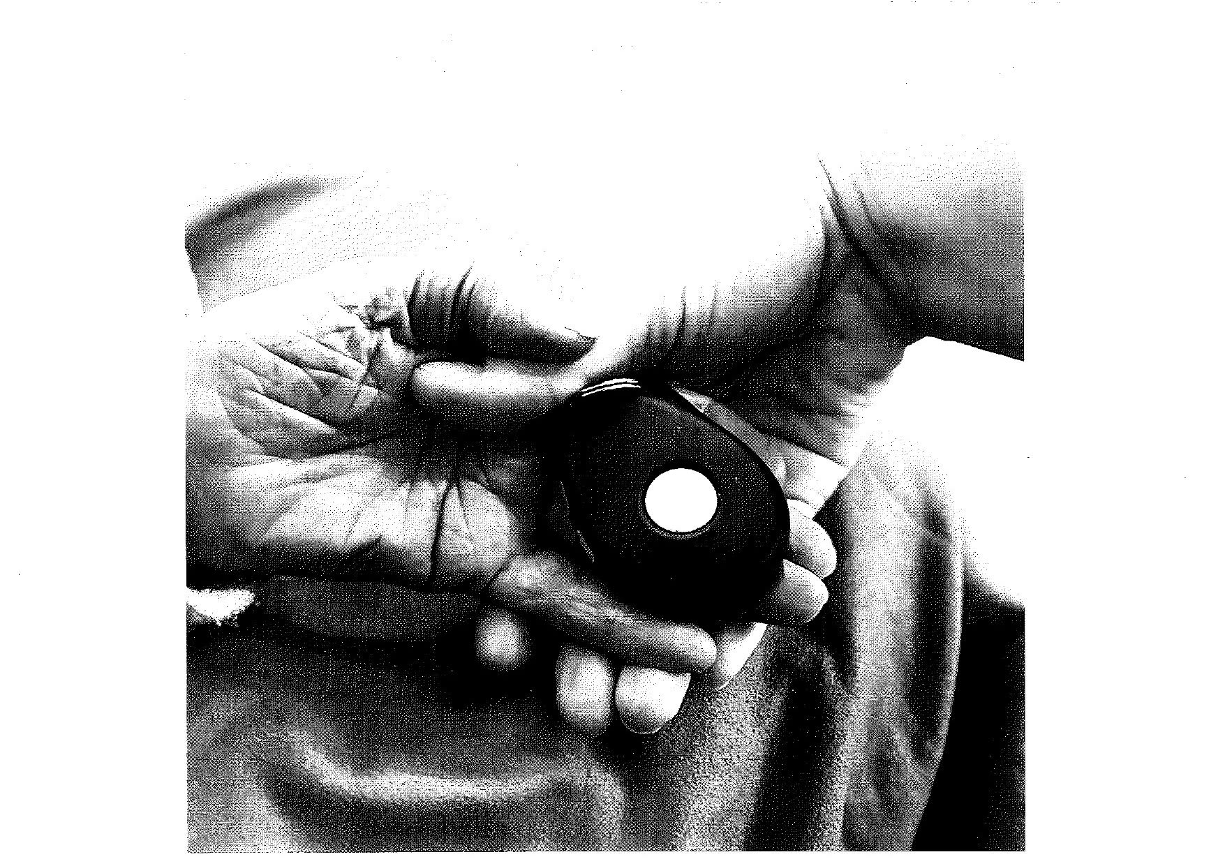 Tari Zora fotópályázata